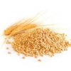 Гидролизованные протеины пшеницы